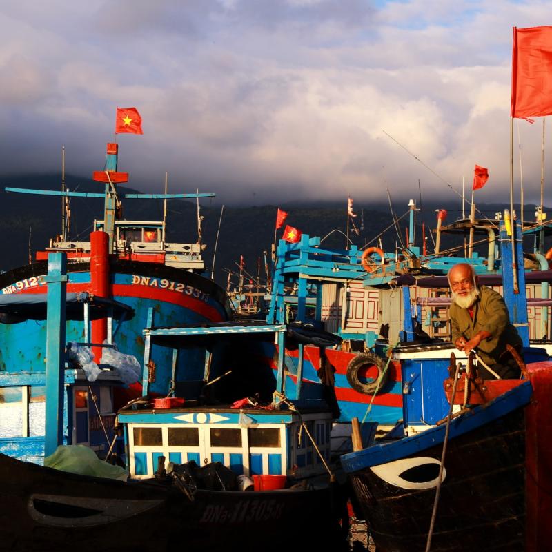 Bám biển