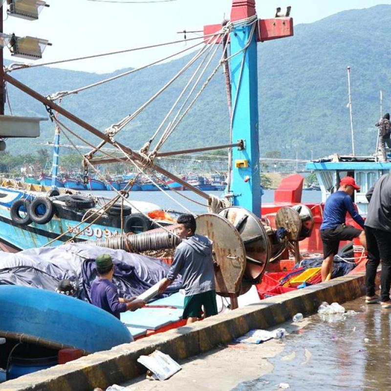 Ngư dân Đà Nẵng kiên trì bám biển