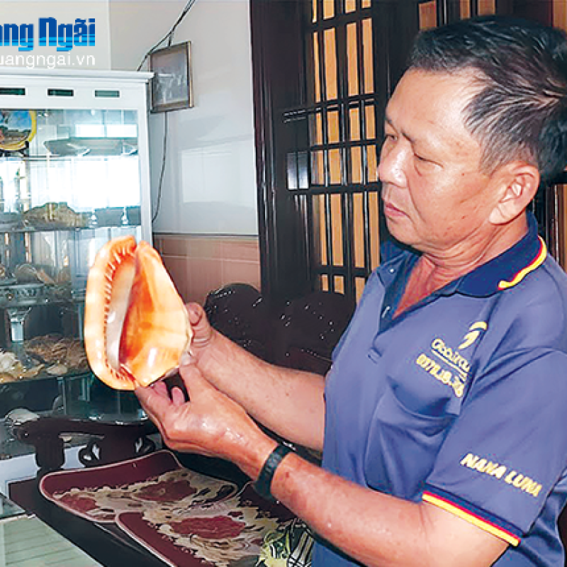Kỷ vật từ Hoàng Sa