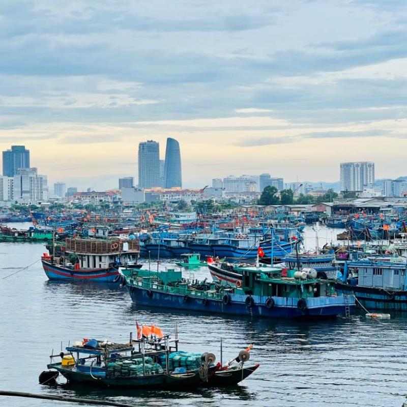Đà Nẵng quyết tâm hoàn thành tốt nhiệm vụ gỡ "thẻ vàng" IUU